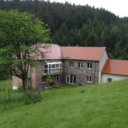 Gite Gretel De La Ferme Du Schneeberg Wangenbourg-Engenthal Экстерьер фото