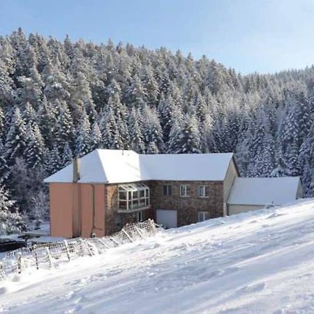 Gite Gretel De La Ferme Du Schneeberg Wangenbourg-Engenthal Экстерьер фото