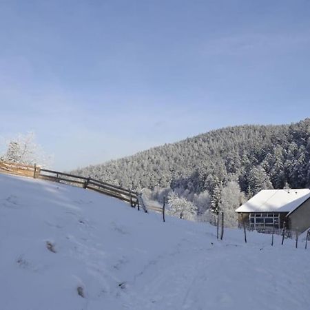 Gite Gretel De La Ferme Du Schneeberg Wangenbourg-Engenthal Экстерьер фото
