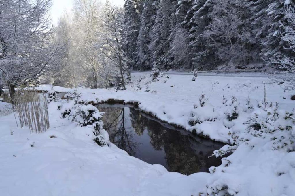 Gite Gretel De La Ferme Du Schneeberg Wangenbourg-Engenthal Экстерьер фото