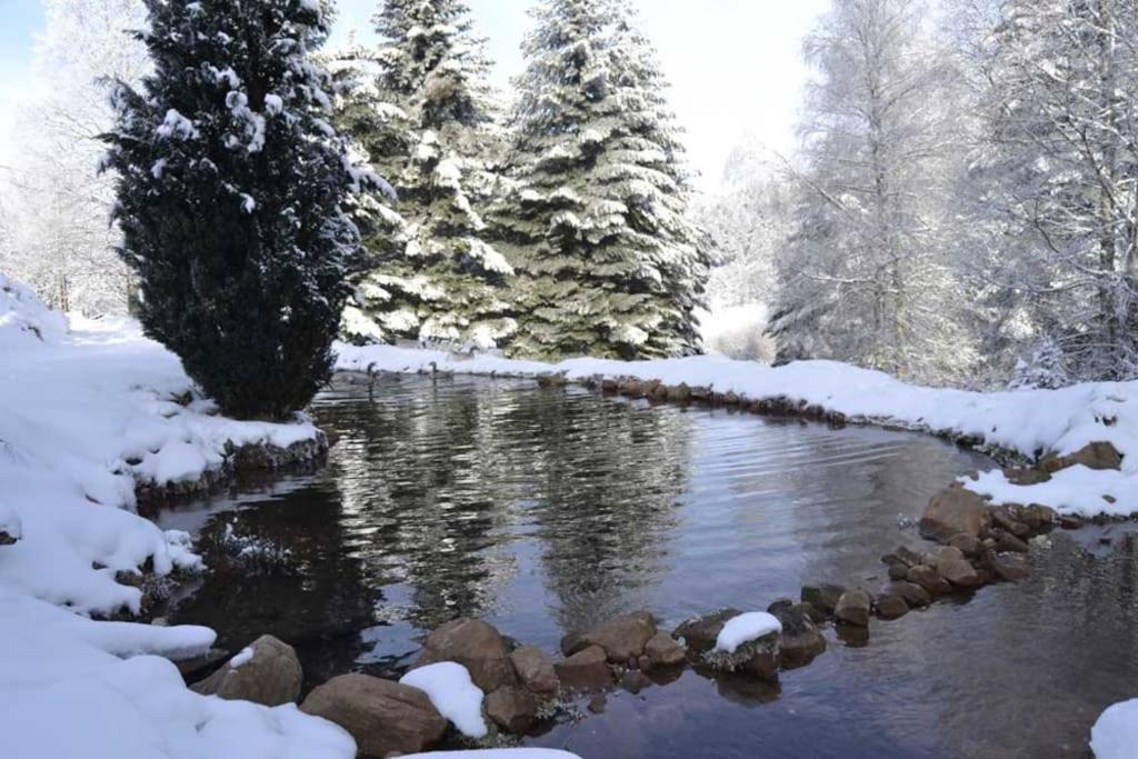 Gite Gretel De La Ferme Du Schneeberg Wangenbourg-Engenthal Экстерьер фото