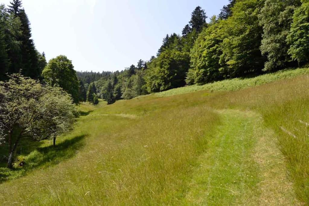 Gite Gretel De La Ferme Du Schneeberg Wangenbourg-Engenthal Экстерьер фото